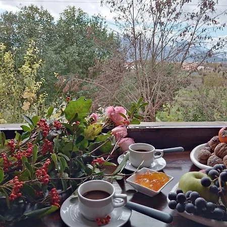 B&B Home Holiday Villa Delle Acacie Agriturismo *