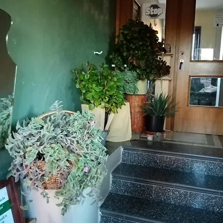 Farm stay B&B Home Holiday Villa Delle Acacie Agriturismo Sala Consilina