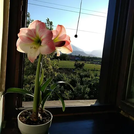 B&B Home Holiday Villa Delle Acacie Agriturismo *
